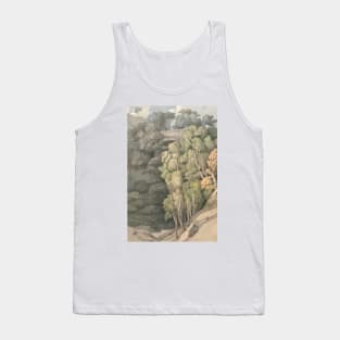 Devil's Bridge by Francis Towne Tank Top